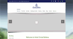 Desktop Screenshot of cristal-ballena.com